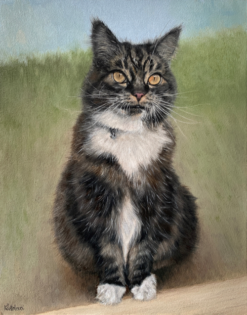 Mizzy, Norwegian forest cat mix, 33x26 cm