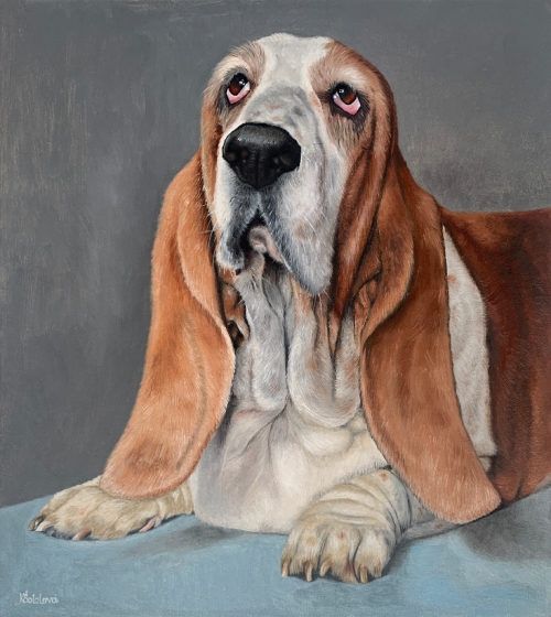 Zaffira, Basset hound, 33x29.5 cm