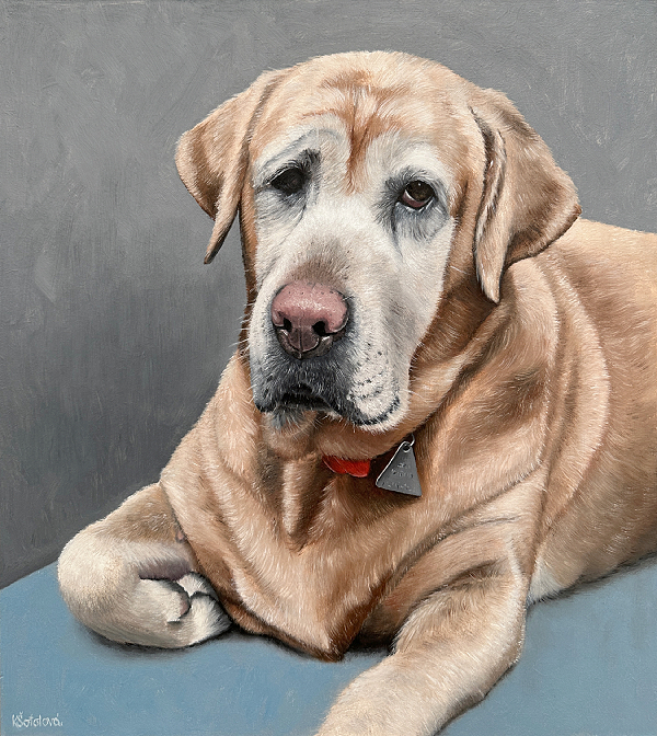 Jessica, Labrador mix - rescued dog, 33x29.5 cm