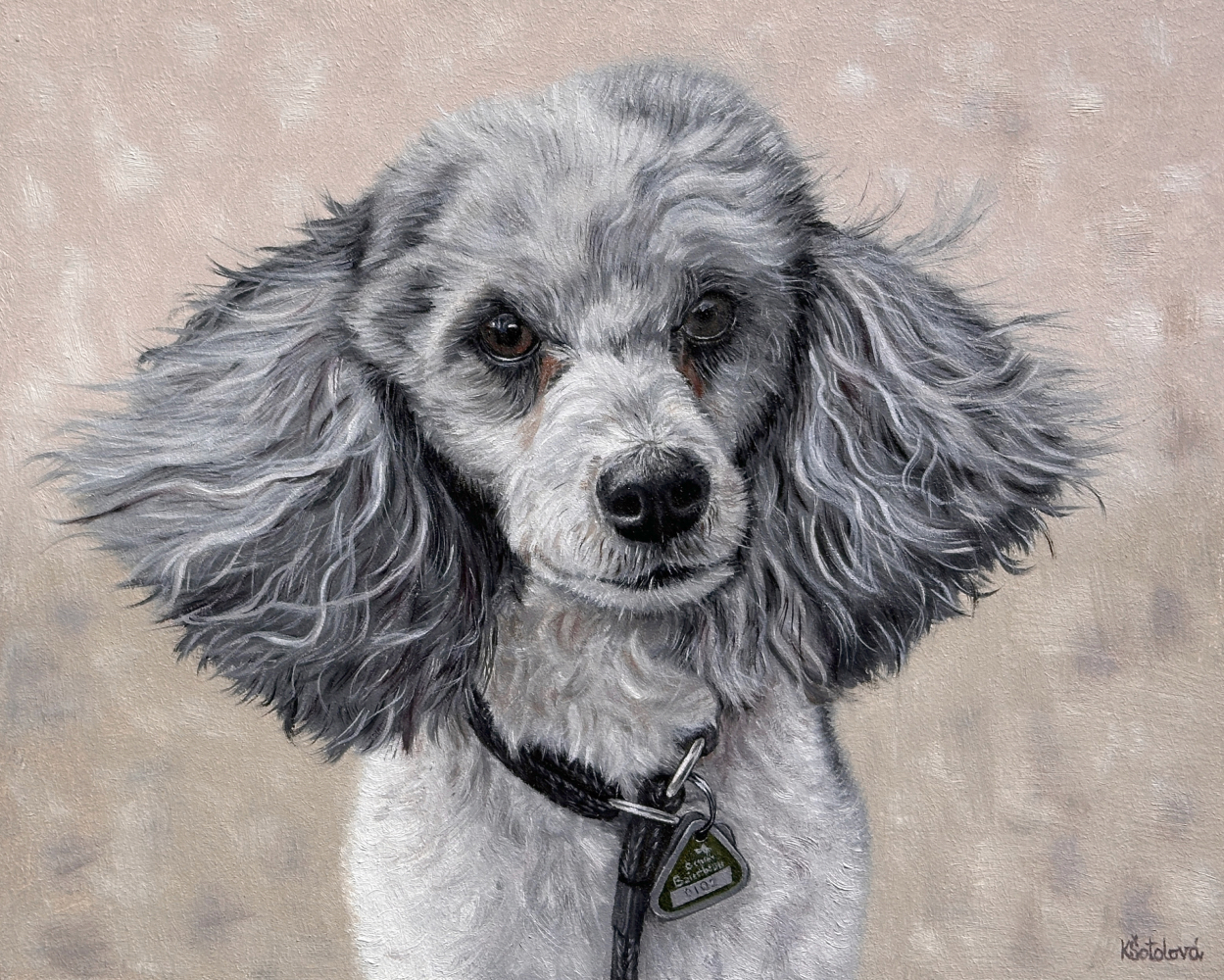 Lordie, Poodle, 24x30 cm