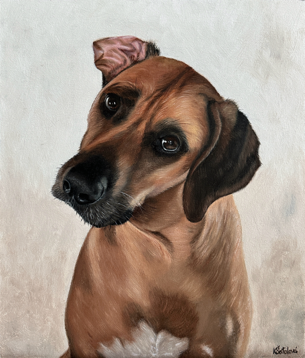 Lord, Rhodesian Ridgeback, 30x25 cm