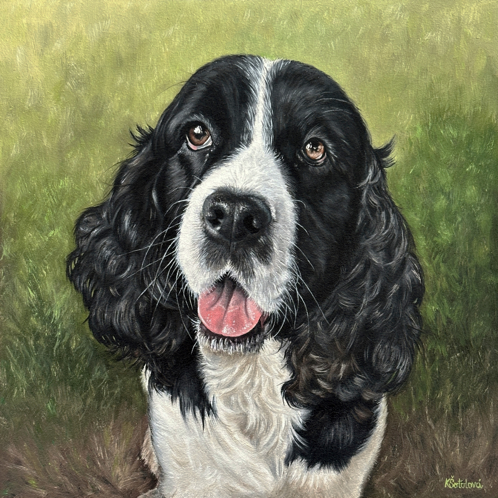 Besie, English Springer Spaniel, 30x30 cm