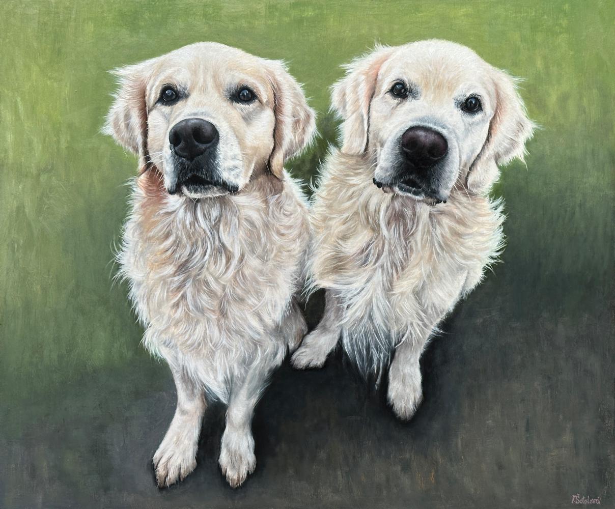 Buddy & Goofy, Golden Retrievers, 50x60 cm