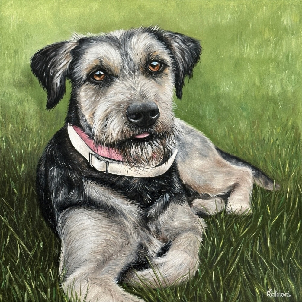 Clyde, mixed breed, 30x30 cm