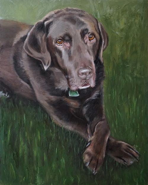 FOR SALE | Greenboy, Chocolate labrador, 25x20 cm