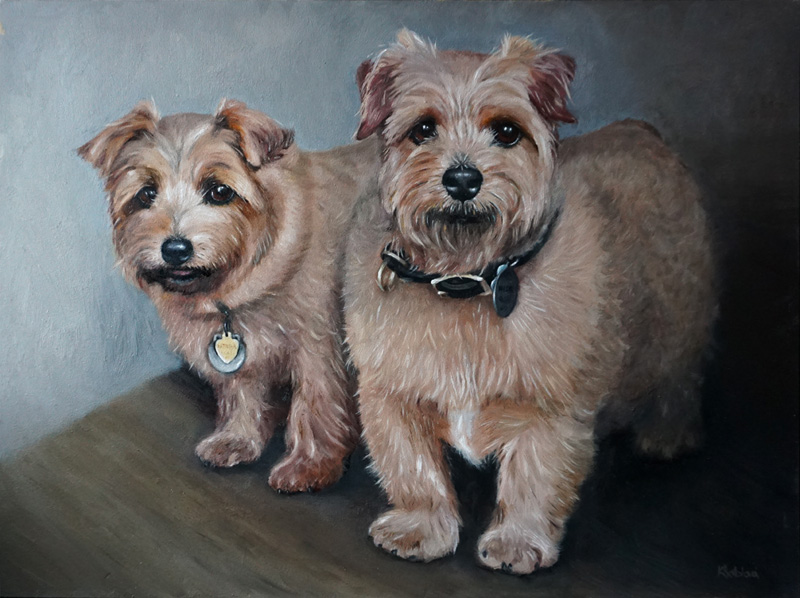 Katrina & Nick, Norfolk terriers, 30x40 cm