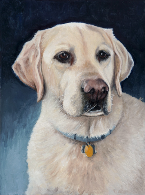 Makey, English yellow labrador, 30x23 cm