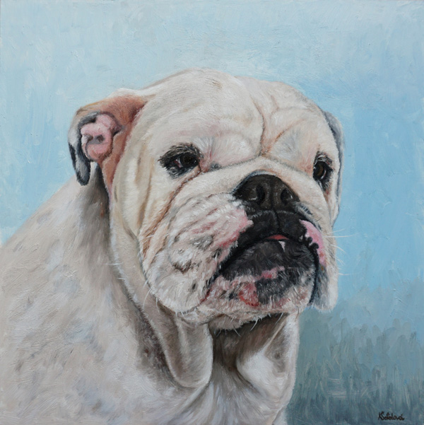 Asti, Bulldog, 30x30 cm
