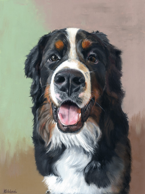 Theo, Bernese mountain dog, 30x23 cm