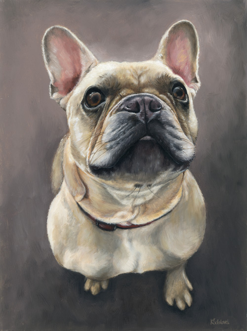 Newton, French bulldog, 30x23 cm