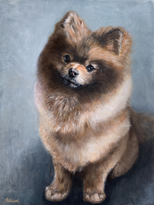 Prďola, Pomeranian, 30x23 cm