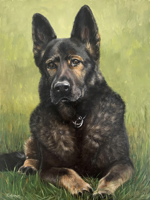 Šíla, German Shepherd, 30x23 cm
