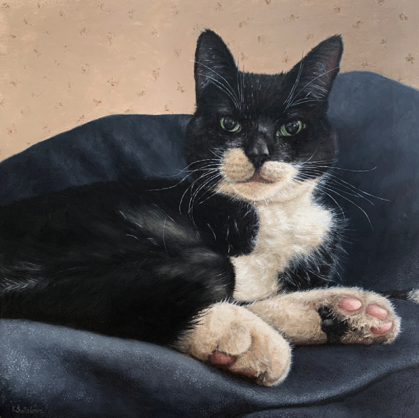 Snoopy, Domestic short-haired cat, 30x30 cm