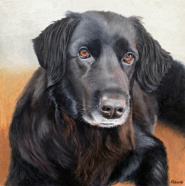 Archie, Hovawart, 30x30 cm