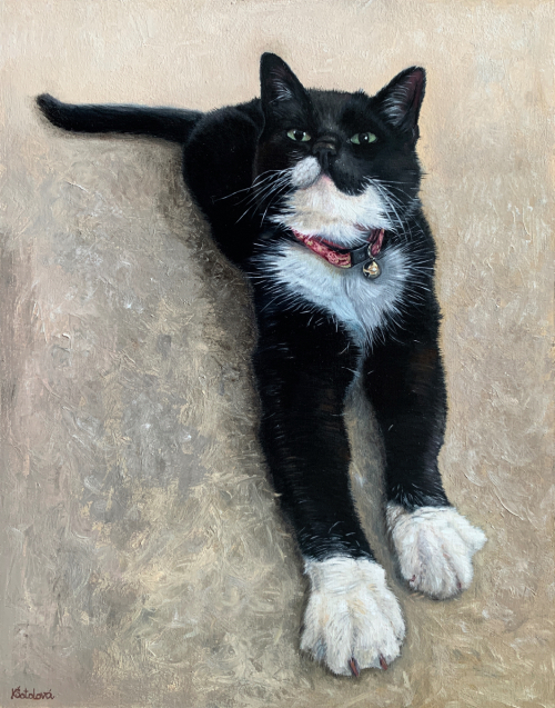Rea, Domestic short-haired cat, 33x26 cm